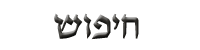 ����� ����